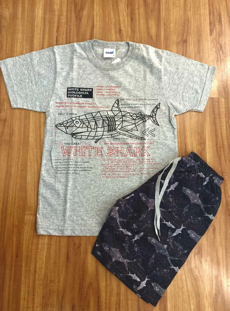 CONJUNTO MASCULINO INFANTIL SEM MANGA R135