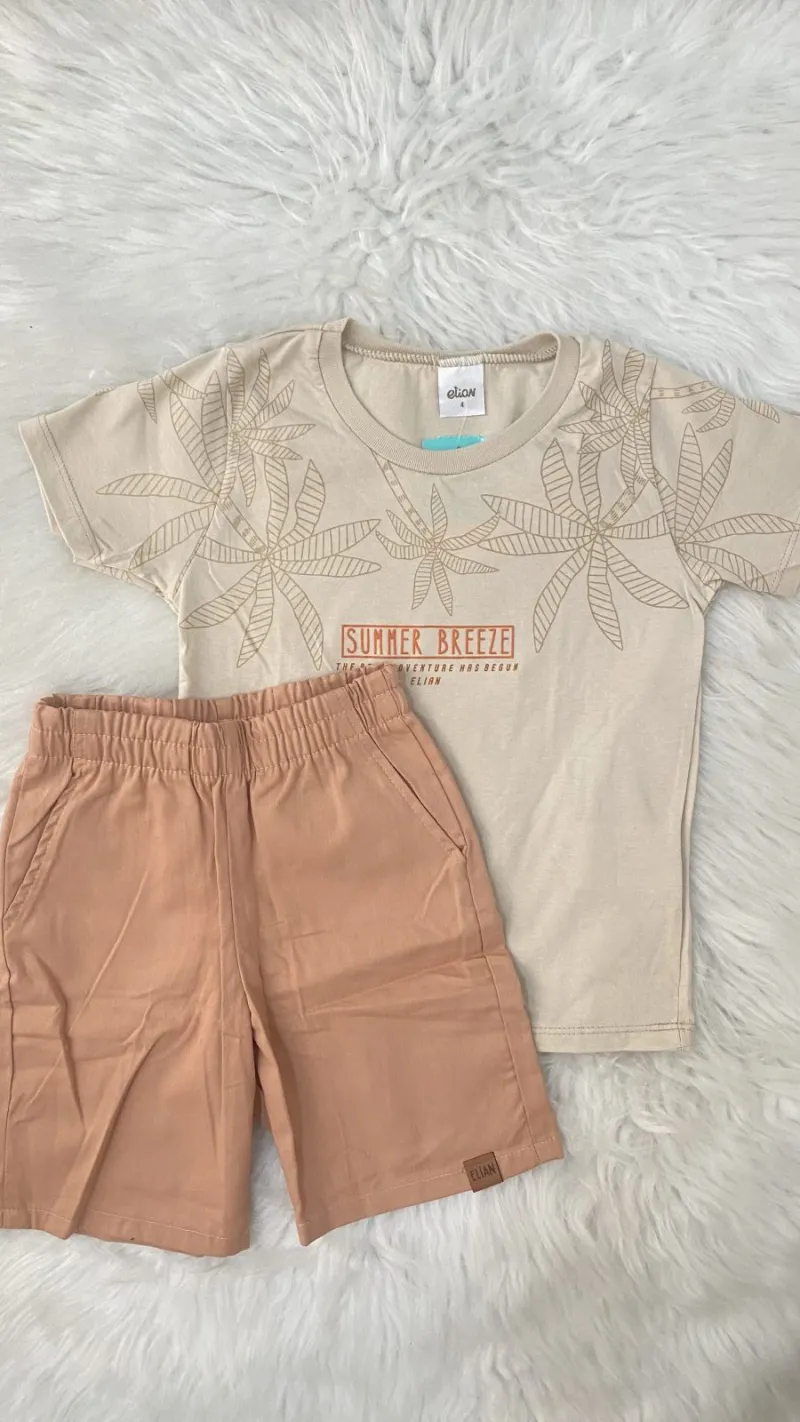 CONJUNTO MASCULINO INFANTIL SEM MANGA+BRASIL R120