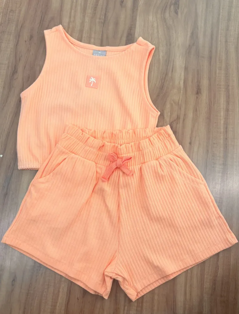 CONJUNTO FEMININO SM +SHORTS R06