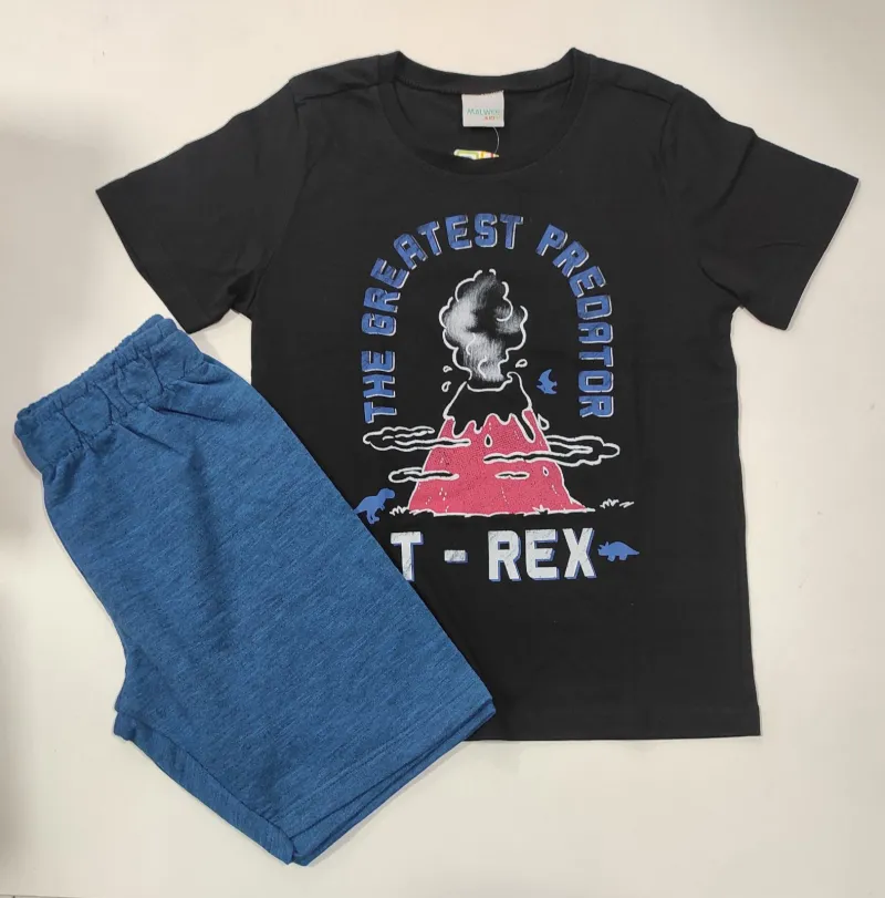 CONJUNTO MASCULINO INFANTIL SEM MANGA MALWEE